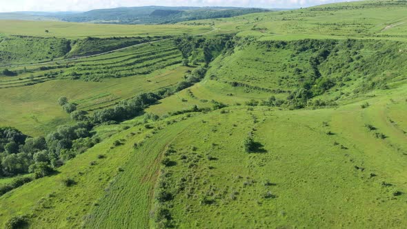 Flying Over Vibrant Green Hills, Pasture in Transylvania, Romania. Aerial View