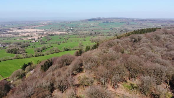 Aerial forward shot over the trees at Hembury Fort Devon England