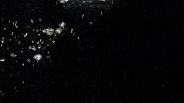 Air Bubbles in Water Rising Up to the Surface on Isolated Black Background