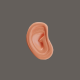 3D Animation of The ear is the part of the senses that can hear - VideoHive Item for Sale