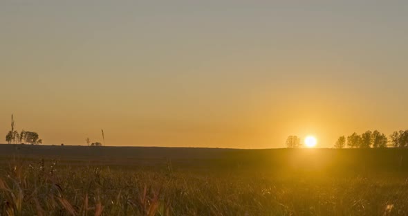 Flat Hill Meadow Timelapse at the Summer Sunset Time