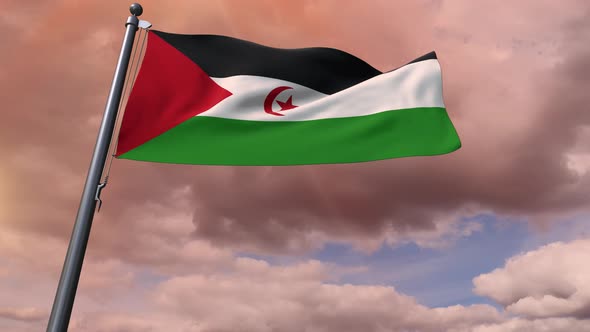 Western Sahara Flag 4K