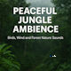 Peaceful Jungle Ambience