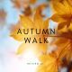 Autumn Walk