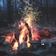 Bonfire in Forest