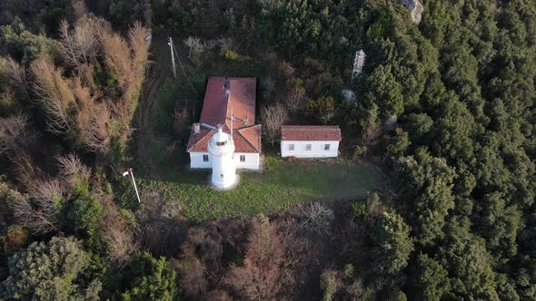 Lighthouse In The Trees