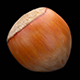Hazelnut - 3DOcean Item for Sale