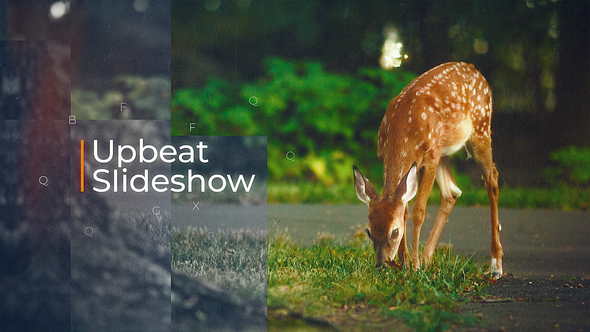 Upbeat Slideshow