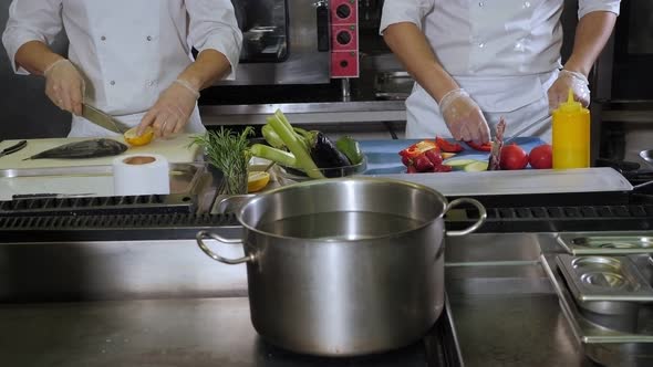 Closeup of Two Chefs Cooking Fish and Vegetables in the Restaurant Kitchen