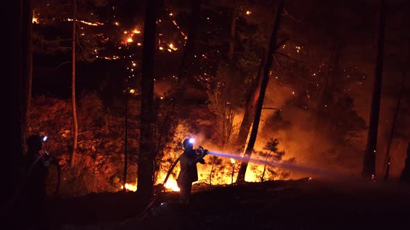 Firefighters are Extinguish Forest Fires