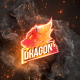 Fire Logo Reveal - VideoHive Item for Sale