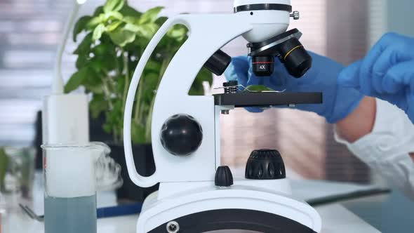 Close-up of Hands in Lab Gloves Putting Plant Leaf Under the Stage Clips of Microscope