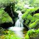 Mountain Stream 4