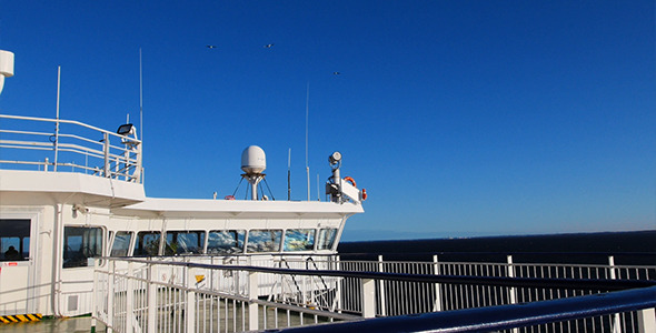 Seagulls Over The Ship