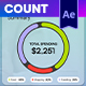 Accounts & Finances Count - VideoHive Item for Sale