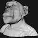 Monkey Bonobo High Poly - 3DOcean Item for Sale