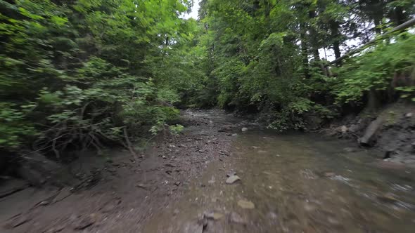 Smooth Rapid Flight Over a Mountain River Close to the Water Among a Dense Forest