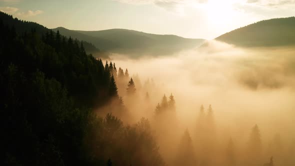 Misty Dawn in the Mountains. Beautiful Landscape
