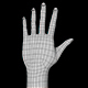 Human Hand Low Poly Base Mesh - 3DOcean Item for Sale