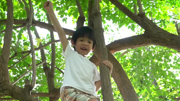 Cute Asian Boy Climbing A Tree In The Park