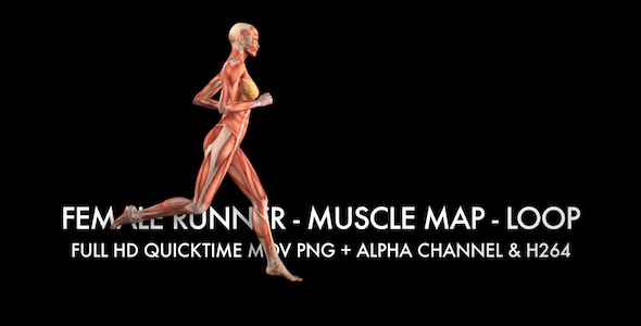 Muscle Map - Female Runner - Loop