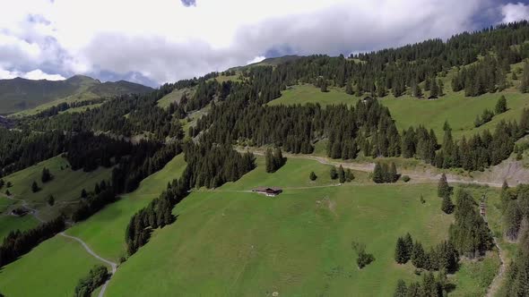 Flight in the valley above fir trees