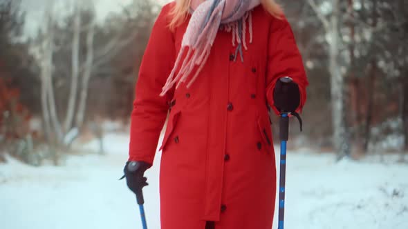 Woman Practicing Nordic Walking In Forest. Sticks Walking On Winter Wood. Sport Activities Healthy.