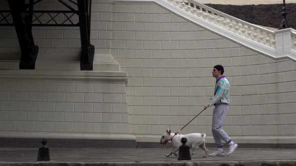 Portrait of Man in Trendy Sportswear Walking Along Street with His Pedigree Dog Holding Bullterrier