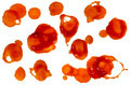 Ketchup stains blood stains - PhotoDune Item for Sale