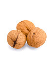 Walnuts - PhotoDune Item for Sale