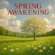 Spring Awakening - AudioJungle Item for Sale