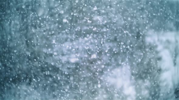 Slow Motion of Real Snow Falling in Winter, It is Snowing Nature Background alt