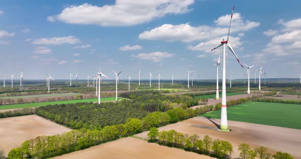 Aerial tilt up view of tulip field and wind farm, Flevoland, Netherlands