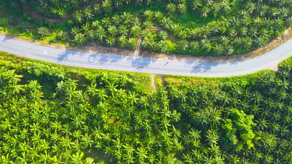 Aerial view of the road