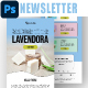 Handmade Soap Email Newsletter PSD Template - GraphicRiver Item for Sale