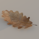 Oak Leaves - 3DOcean Item for Sale