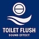 Toilet Flush