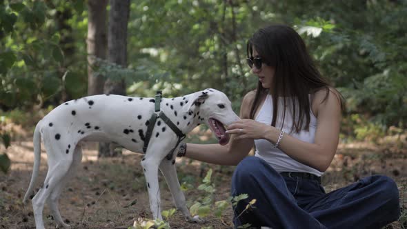 Dog Dalmatian and Girl
