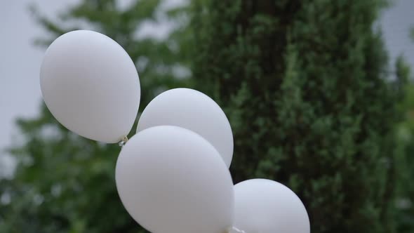 Tied White Balloons Outdoors with Green Trees at Background in Park