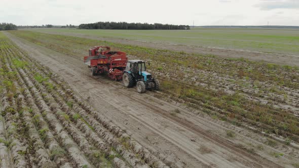 Harvesting of Root Crops Trailed Potato Harvester with Sorter on Board