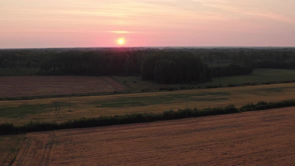 Field at Sunrise