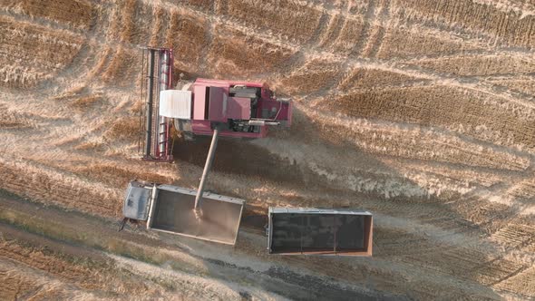 Top View Harvester Combine Pours the Grain Into the Truck on the Field. Threshing Machine Pouring