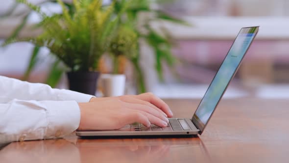 Man Working On Laptop