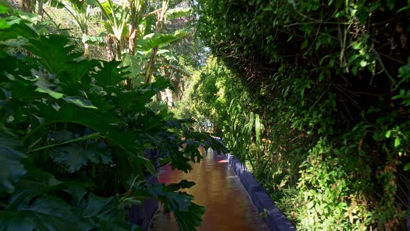 Majorelle Garden, Marrakesh, Morocco. Walking a Path in Shade From Green Tropical Flora During a