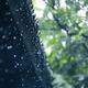 Spring Thunderstorm in City Ambience 5