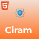Ciram - Cyber Security Services Company Bootstrap 5 HTML Template + RTL - ThemeForest Item for Sale