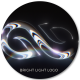 Light Logo - VideoHive Item for Sale