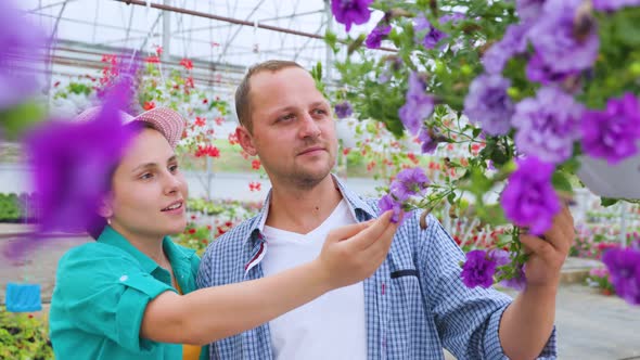 Couple of Young Workers in Greenhouse are Looking at Beautiful Flowers They Discussing