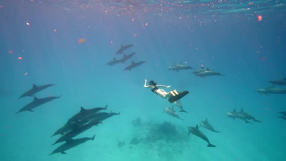 Beautiful Young Woman Swimming Underwater with Dolphins in Pristine Blue Ocean Water Amazing