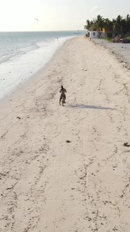 Vertical Video of the Beach on Zanzibar Island Tanzania